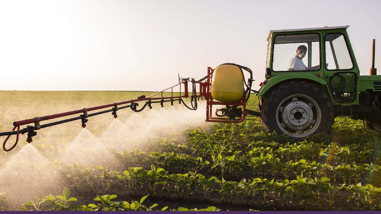 A farmer drives a tractor spraying pesticides over rows of green crops in a large agricultural field.
