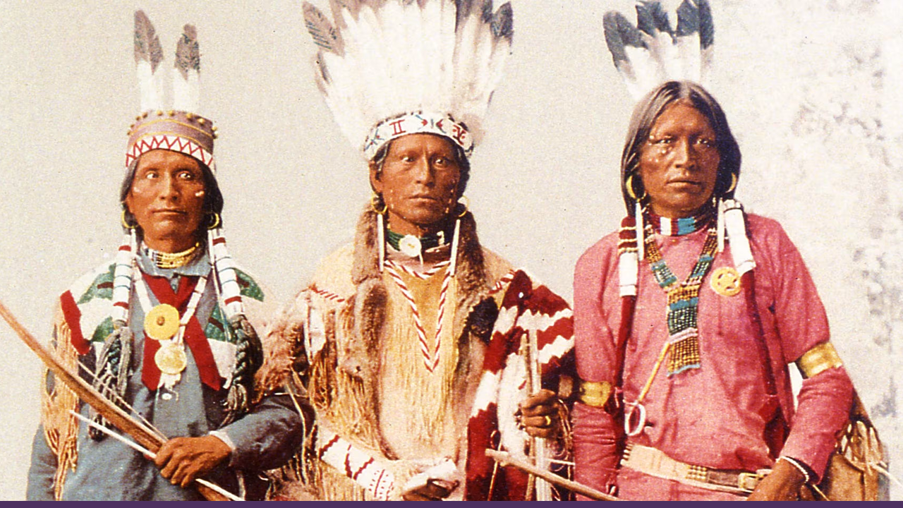 Most scholars divide North America (excluding present-day Mexico) into 10 distinct cultural areas: the Arctic, the Subarctic, the Northeast, the Southeast, the Plains, the Southwest, the Great Basin, California, the Northwest Coast, and the Plateau